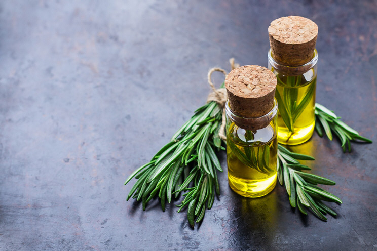 Rosemary Oil or Extract