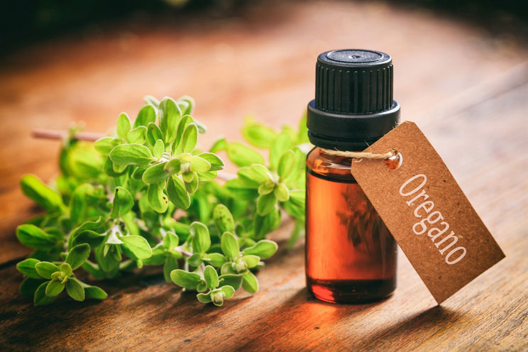 5 Ways to Use Oregano Oil