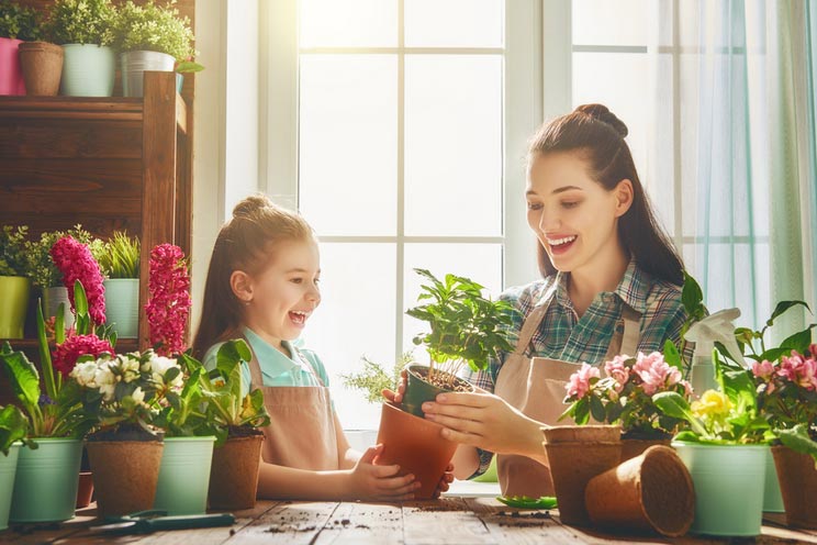 10 Ways Indoor Plants Improve Your Health + Home