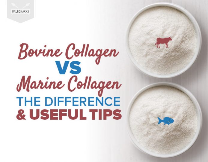 bovine-collagen-vs-marine-collagen-the-difference-and-useful-tips