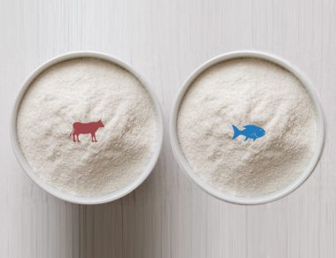 Two of the major sources of collagen that you’ll see in supplements are bovine and marine, or cow and fish collagen. So which one is best?