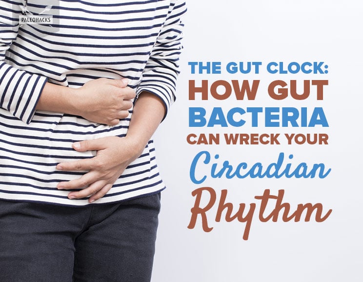 The Clock in Your Gut: How Gut Bacteria Influence Your Circadian Rhythms