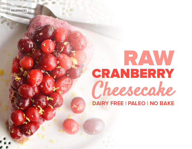 Raw Cranberry Cheesecake (Dairy Free, Paleo, No Bake)