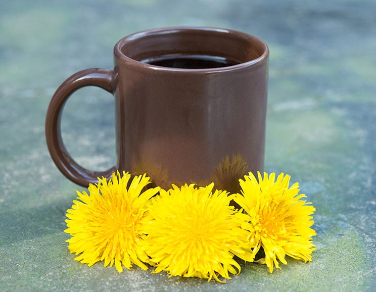 The major benefit to swapping regular coffee for dandelion coffee is that you reduce the amount of caffeine you’re consuming, plus several health benefits.