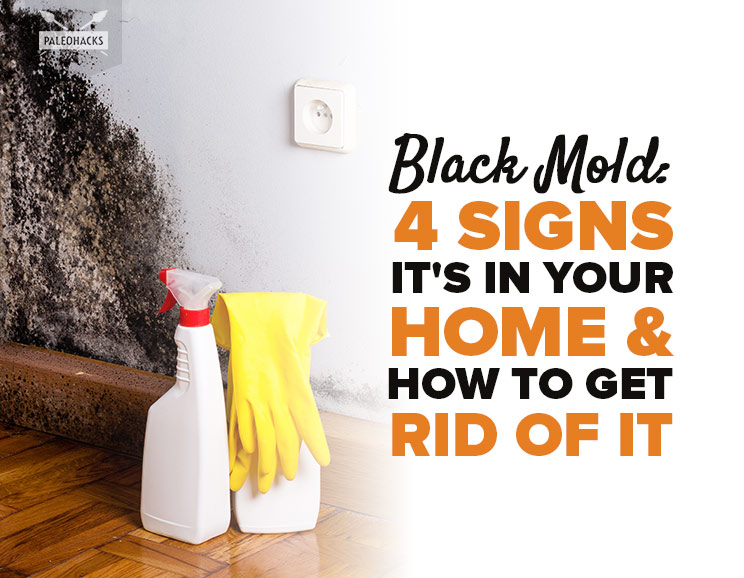Black Mold: 4 Signs Its In Your Home & How to Get Rid of It