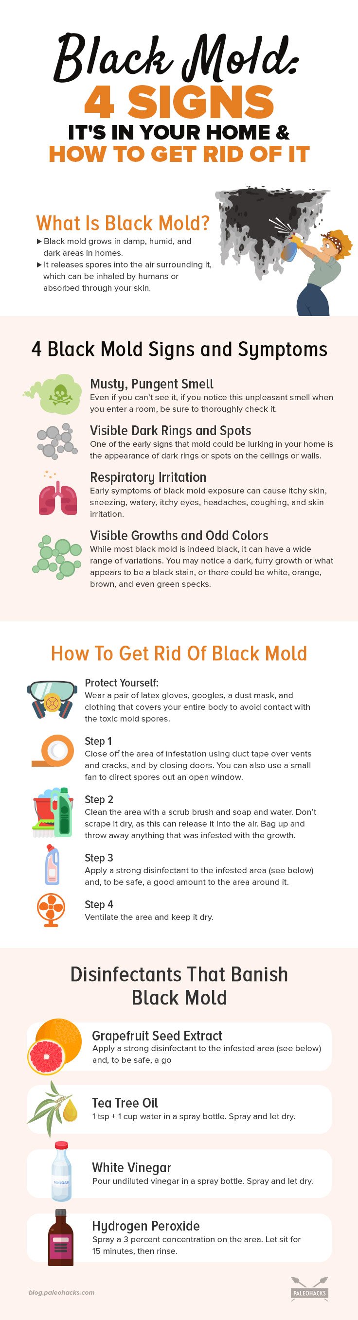 Finding or suspecting you have a black mold infestation in your home can often leave you with a feeling of panic. Just how toxic is black mold?