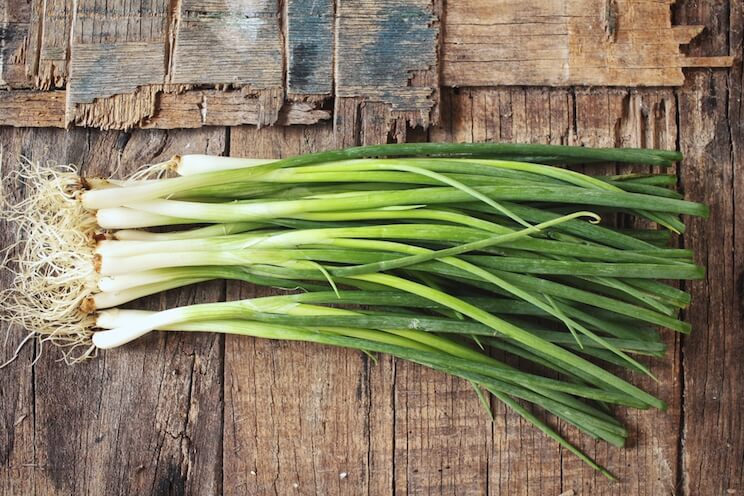 how to grow green onion scraps