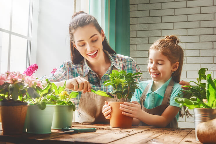 family planting flowers and other plants