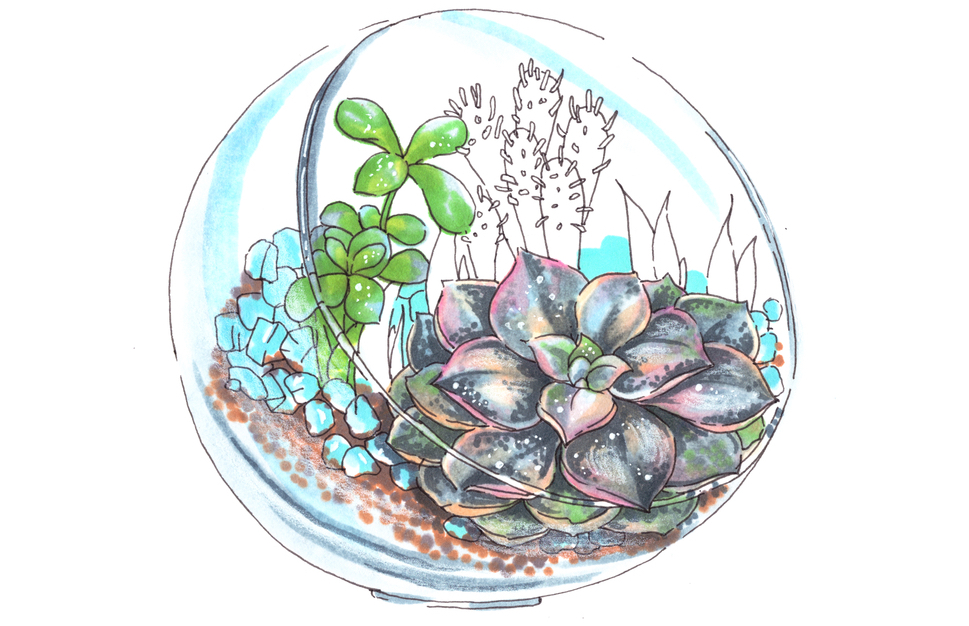 10 Ways Indoor Plants Improve Your Health + Home PaleoHacks Blog