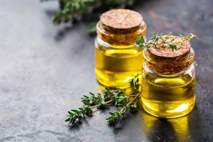 The 7 Best Antibacterial Essential Oils & How to Use Them