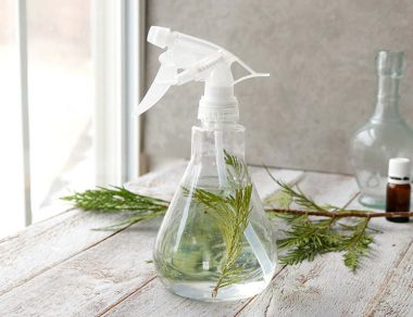 Natural DIY All-Purpose Pine Spray with Zero Toxins 3