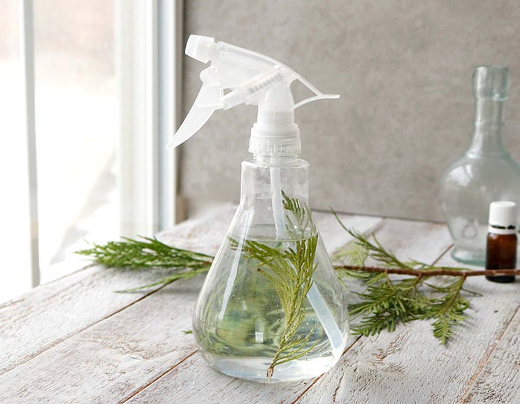 Natural DIY All-Purpose Pine Spray with Zero Toxins