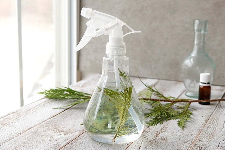 This powerful, all-purpose pine cleaner kills bacteria and makes countertops shine - all without harmful chemicals.