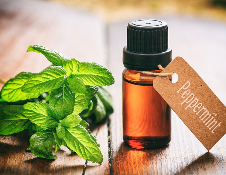 23 Peppermint Oil Uses to Naturally Boost Your Health