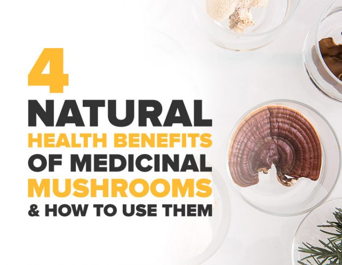 4 Natural Health Benefits of Medicinal Mushrooms & How to Use Them