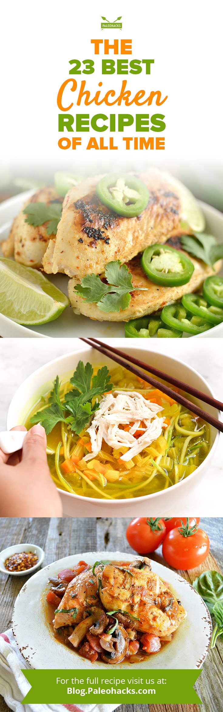 Chicken is one of the most versatile Paleo foods. Try one of these fantastic chicken recipes to expand your horizons with soups, skillets and comfort meals.