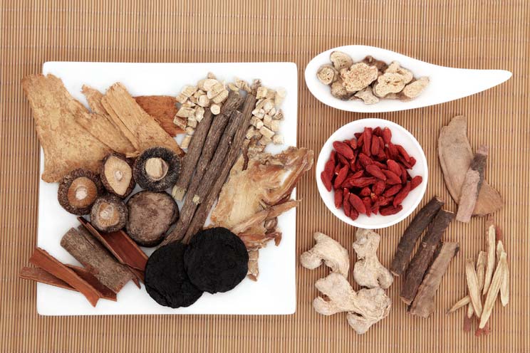 4 Natural Health Benefits of Medicinal Mushrooms & How to Use Them