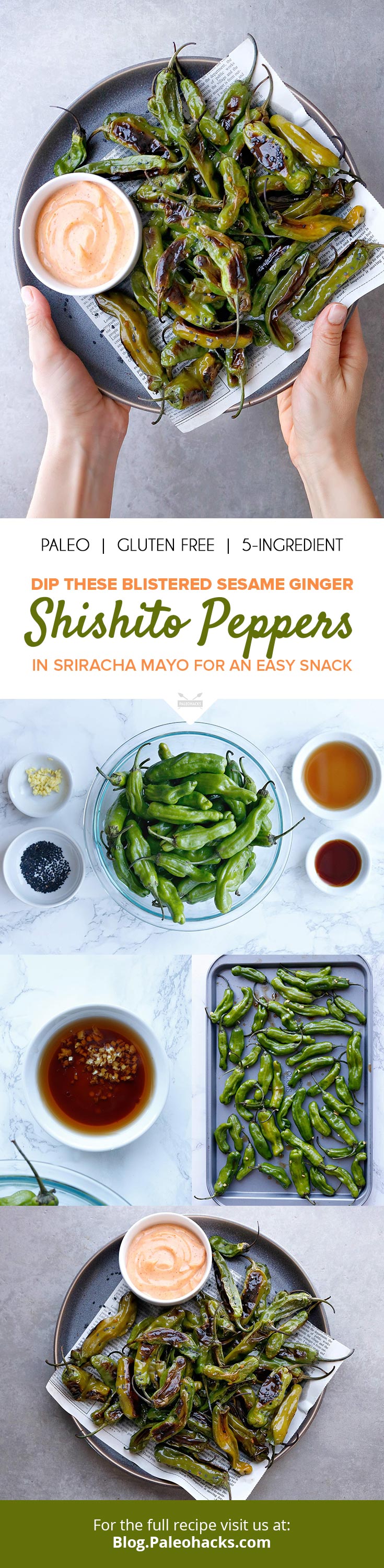 To bring out the flavor of the Shishito peppers, this easy recipe tosses them in a sweet and salty sauce made from toasted sesame seed oil, coconut aminos and fresh ginger.