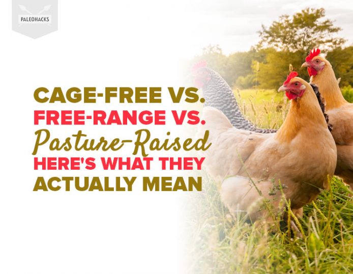 Cage Free Vs Free Range Vs Pasture Raised Here S What It All Means