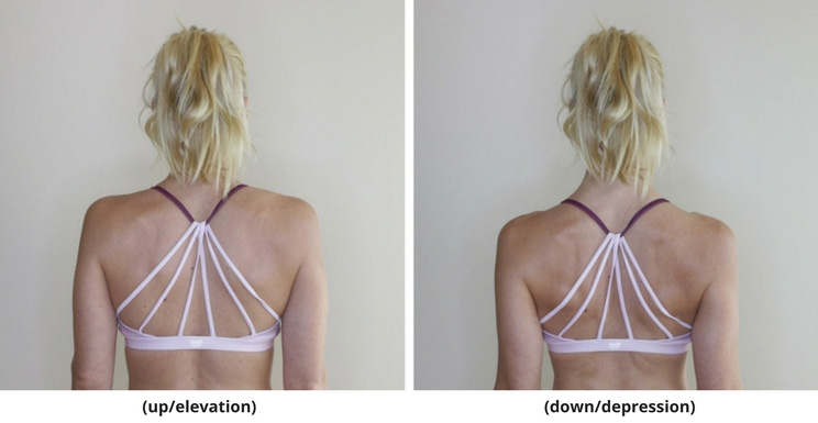 6 Moves to Strengthen + Stretch Your Neck