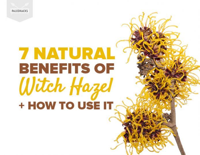 7 Natural Benefits of Witch Hazel + How To Use It PaleoHacks Blog