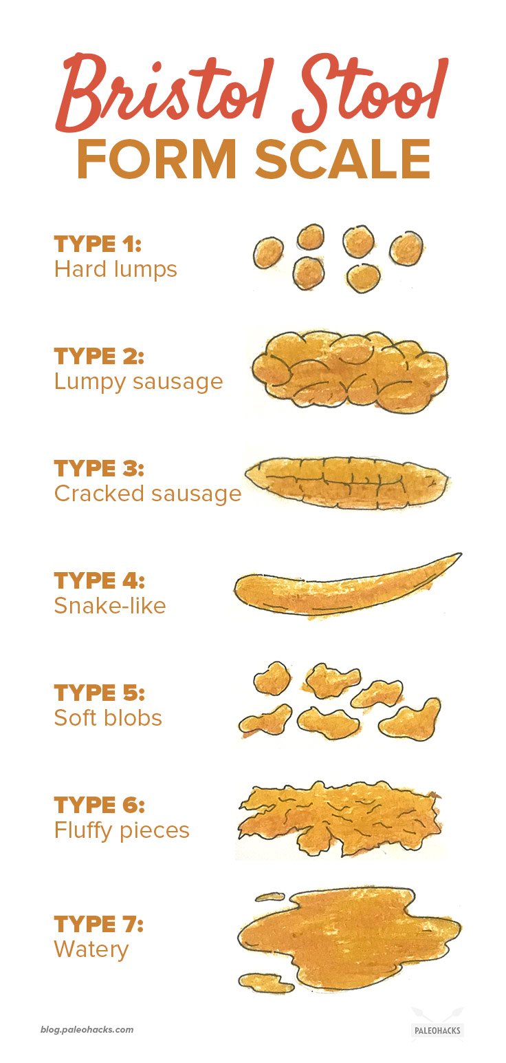 7 DIY Gut Tests You Can Do At Home | PaleoHacks Blog