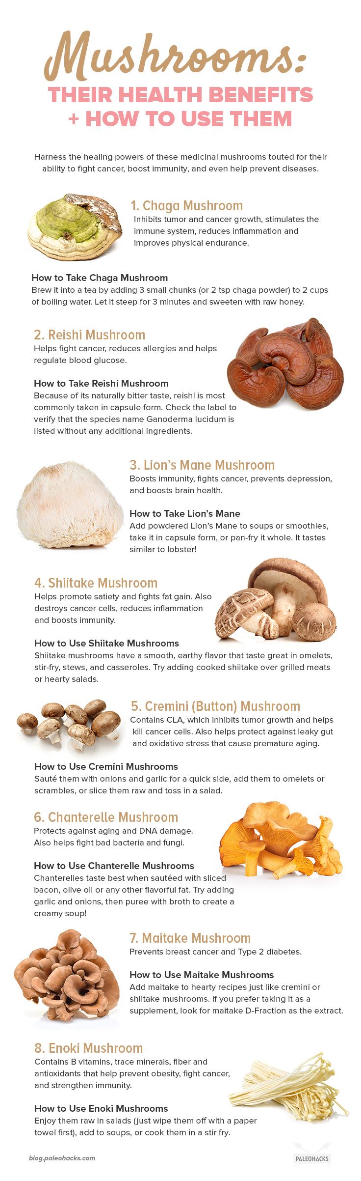 Harness the healing powers of medicinal mushrooms with these top eight varieties. Add them to stir fries, blend them into soups, or even take them as a pill.