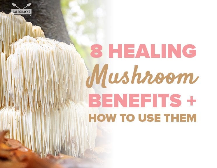 8 Healing Mushroom Benefits + How to Use Them 9