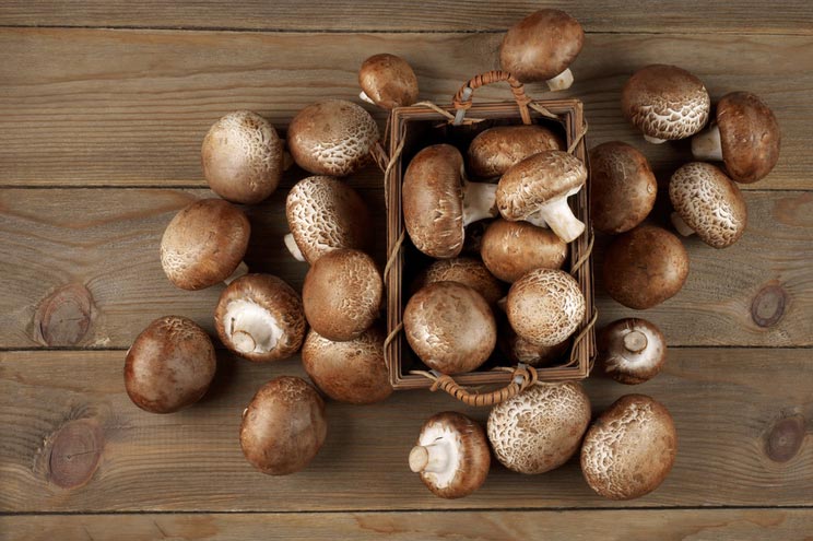 8 Healing Mushroom Benefits + How to Use Them