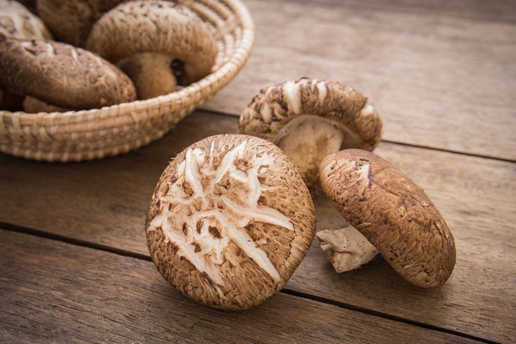 8 Healing Mushroom Benefits + How to Use Them