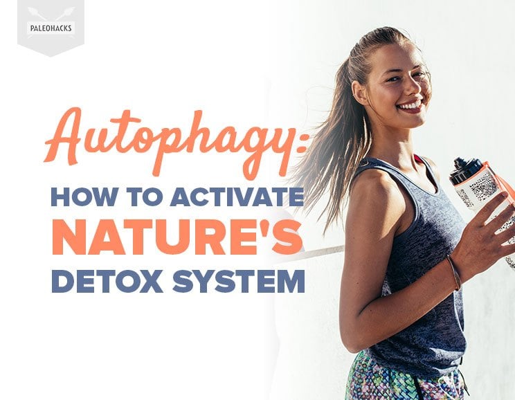 Autophagy: How to Activate Nature's Detox System