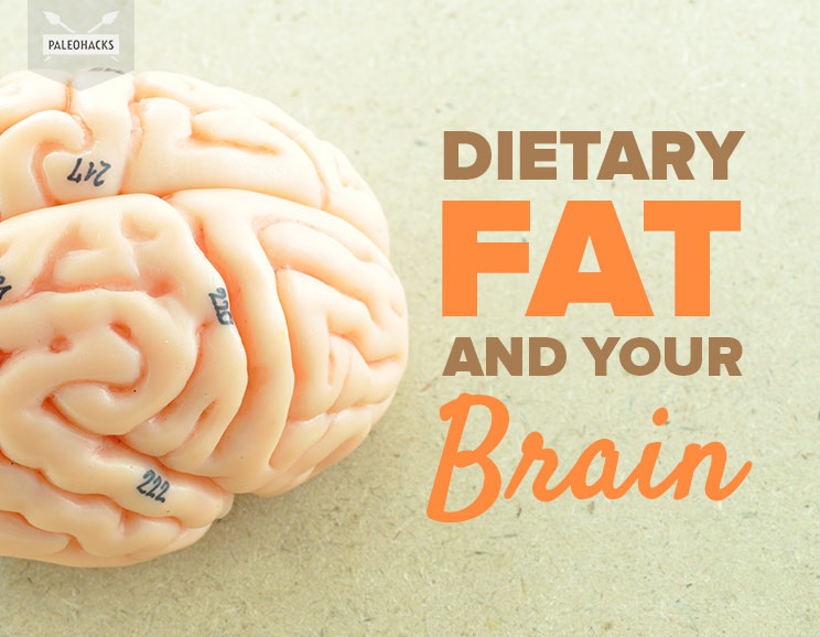 Dietary Fat and Your Brain