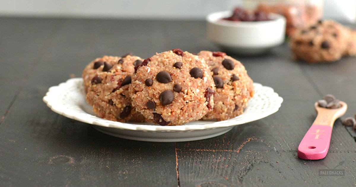 Dark Chocolate Cranberry 'Oat' Cookies Paleo, Gluten Free, Grain Free