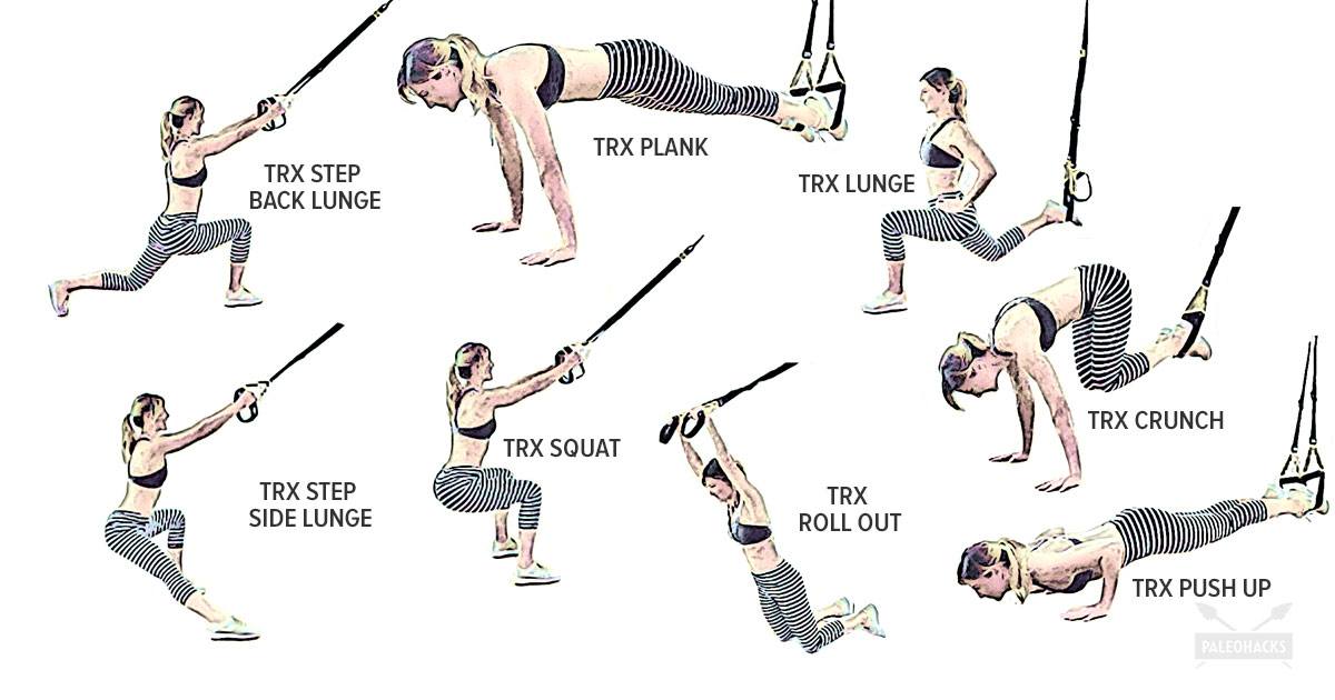 Trx Exercises Chart