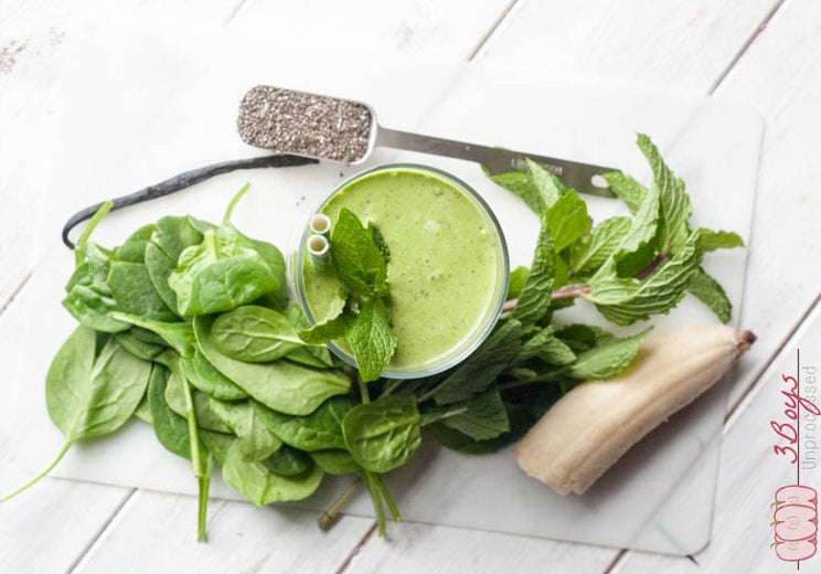 17 Recetas Nutritivas de Batidos Verdes (Ricos en Paleo + Vitaminas)