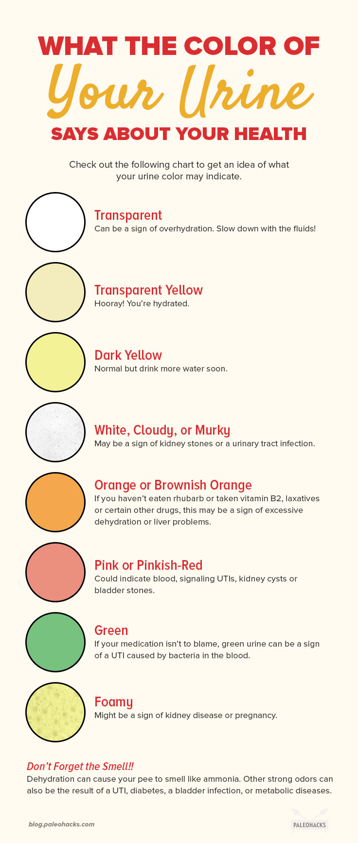 What The Color of Your Urine Says About Your Health | PaleoHacks Blog