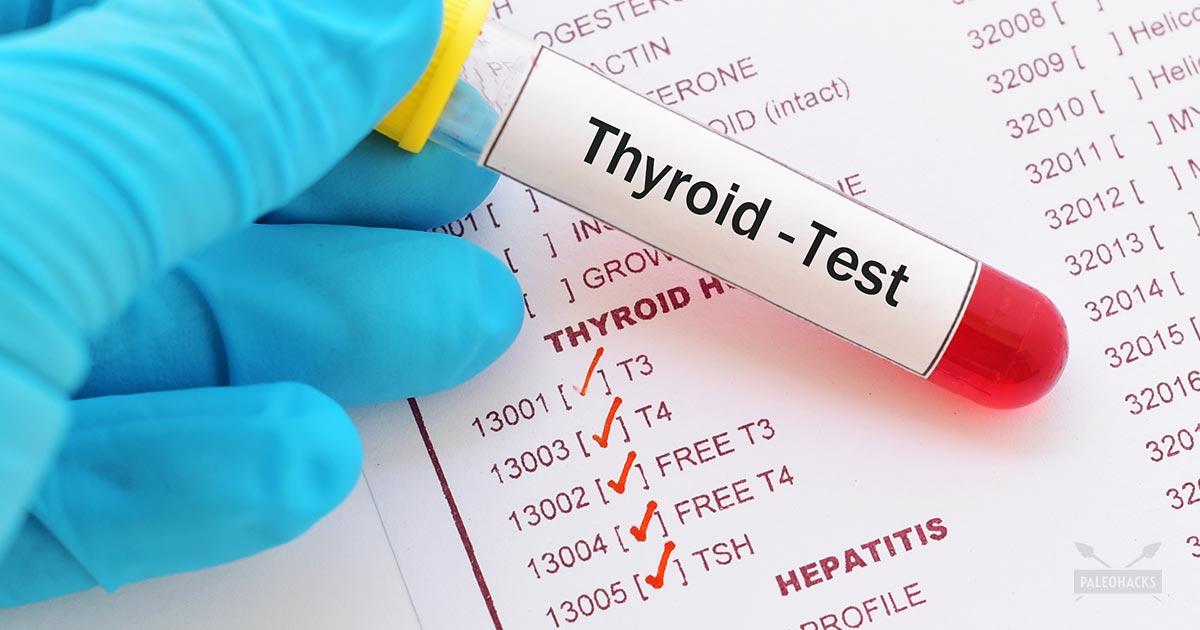 Guide Blog Easy PaleoHacks Your The Thyroid Tests | to Decoding