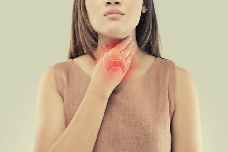 The Quick Basics of Thyroid Hormones