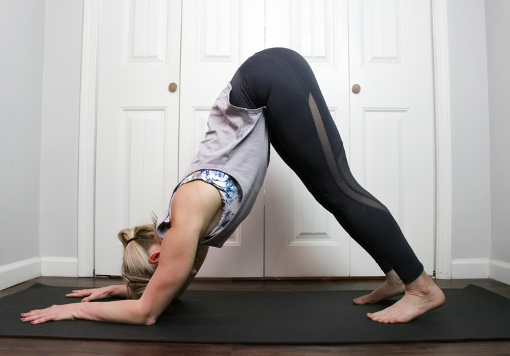 Dolphin Pose | 8 breaths