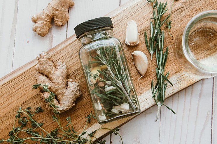 IN-ARTICLE-Homemade-Herbal-Antibiotic.jpg