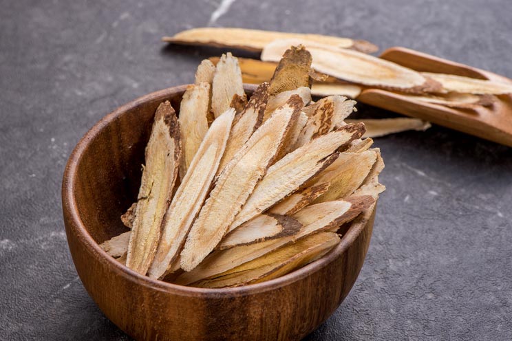 Astragalus, The Ancient Healing Herb Modern Science Caught Up To
