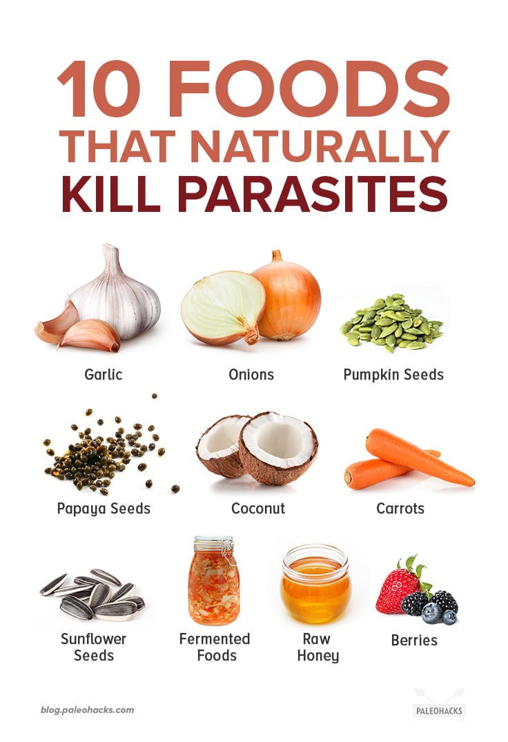 Your pets may not be the only ones that need deworming. Parasites can also infect humans, causing all sorts of health problems.