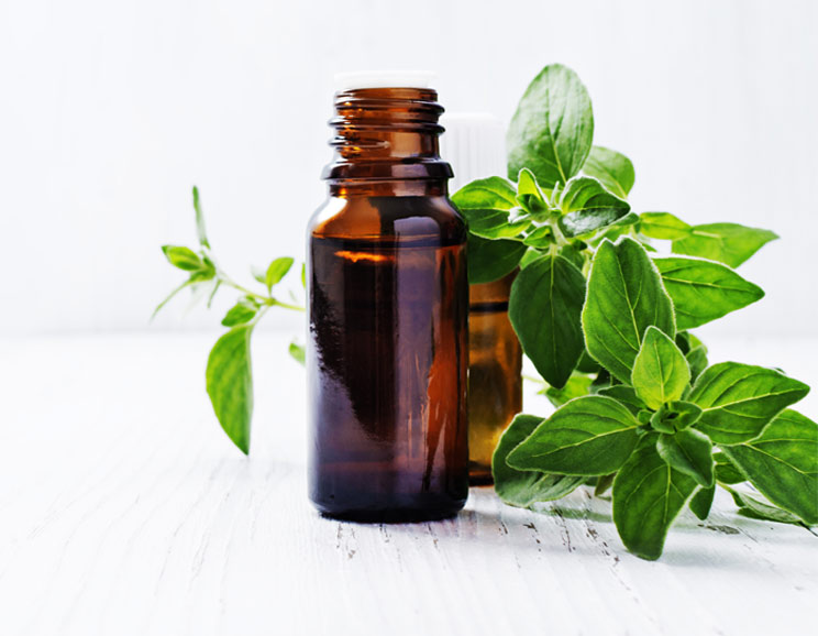 Oregano oil is one of Nature’s most powerful herbs, with a long list of healing properties that help relieve dozens of ailments.