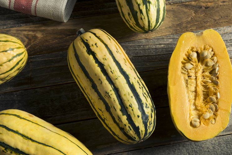 Types of Winter Squash and Their Benefits
