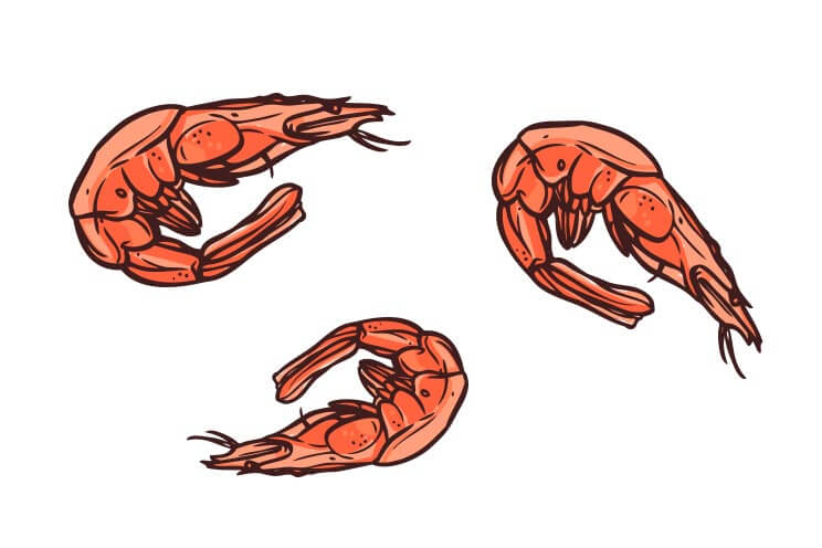Seafood Shrimp