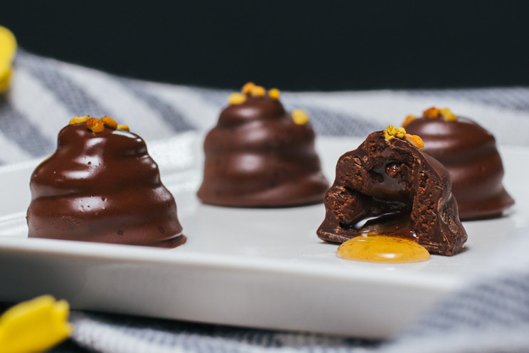 SCHEMA-PHOTO-Dark-Chocolate-Honey-Beehives.jpg