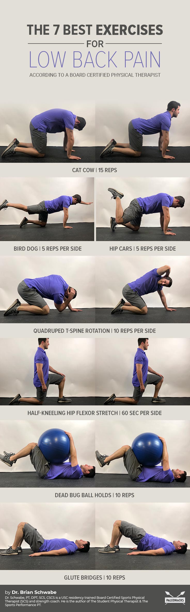 https://blog.paleohacks.com/wp-content/uploads/2019/02/The-7-Best-Exercises-for-Low-Back-Pain-According-to-a-Board-Certified-infog.jpg