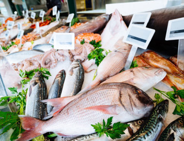 Seafood is some of the healthiest on the planet, but nuclear disasters and other pollutants leave many wondering if fish from Japan and other areas are actually safe to eat.