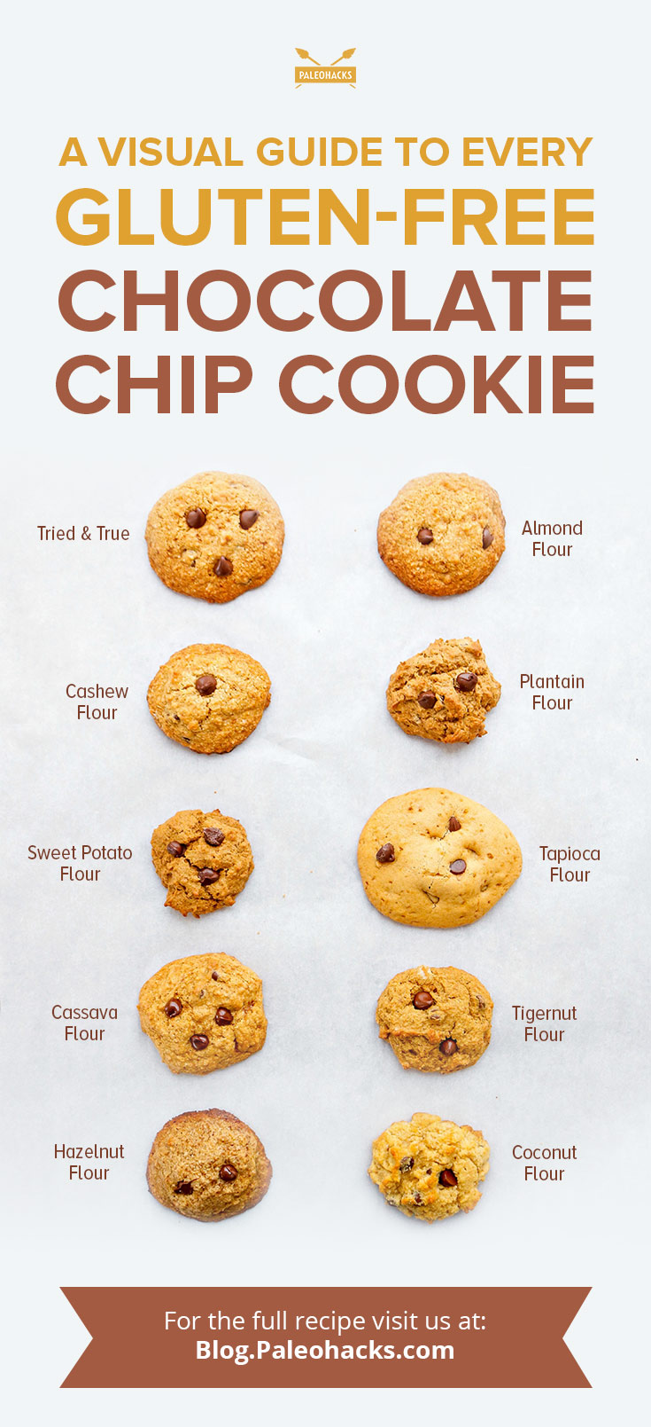 From chewy to crispy, we tested 10 gluten-free flours to see which ones made the best chocolate chip cookies!