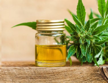 The Simple Guide to Taking CBD Oil for Soothing Anxiety 4